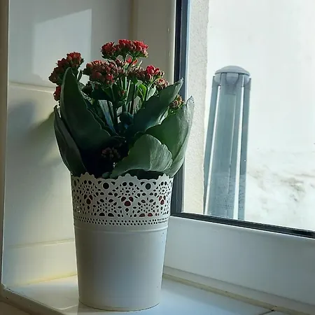 Διαμέρισμα In *