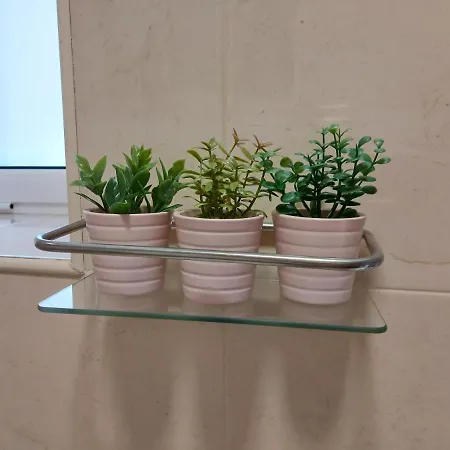 Διαμέρισμα In