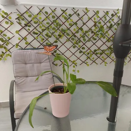 Apartamento In
