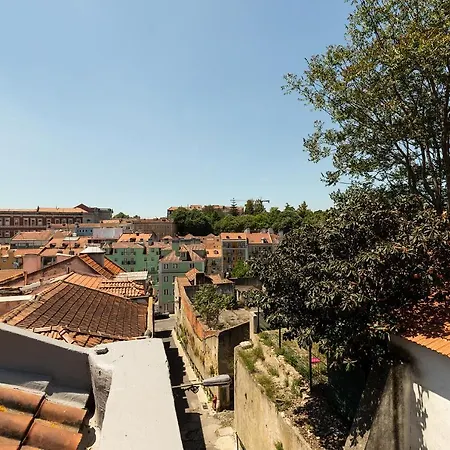 Apartment In Lisbon