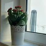 Apartamento In *