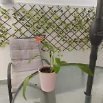 Apartamento In