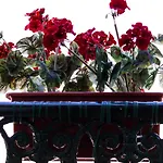 Apartamento In